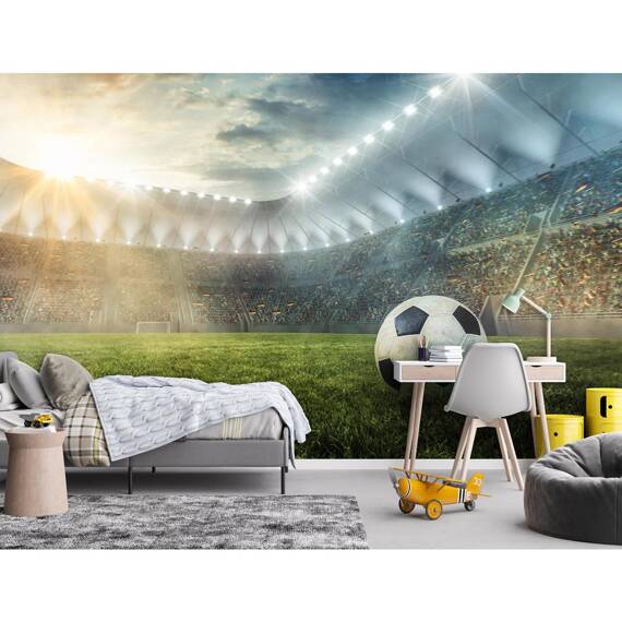 Wall mural Consalnet Football stadium II 14576