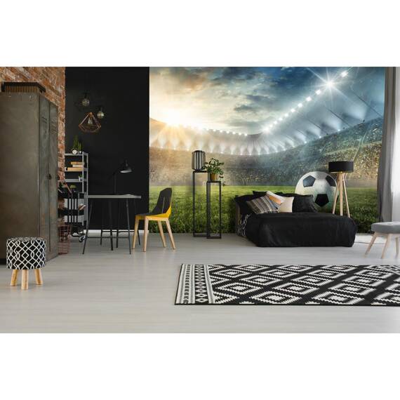 Wall mural Consalnet Football stadium II 14576