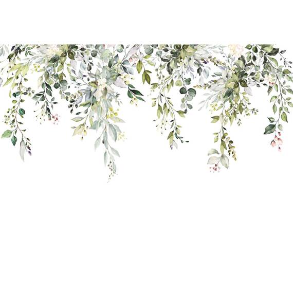 Wall mural Consalnet Hanging eucalyptus leaves III 14497