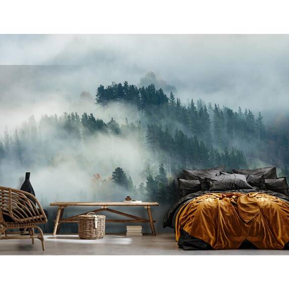 Wall mural Consalnet Natural landscape Forest in the fog 14552