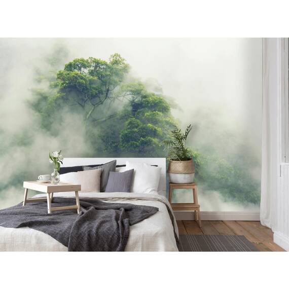 Wall mural Consalnet Natural landscape Forest in the fog V 14519