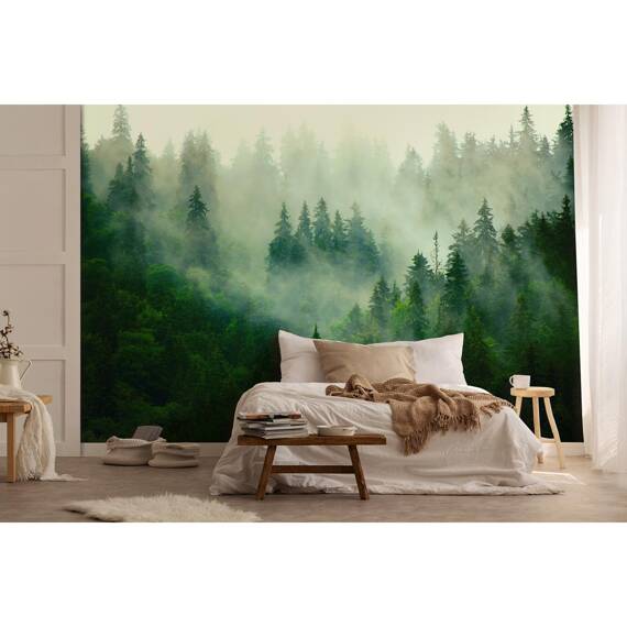 Wall mural Consalnet Natural landscape Forest in the fog VII 14210