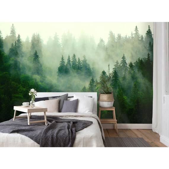 Wall mural Consalnet Natural landscape Forest in the fog VII 14210