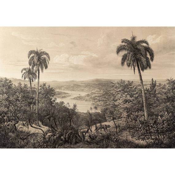 Wall mural Consalnet Vintage Amazon Jungle 14593