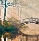 Fototapeta AS Creation Designwalls Park Bridge 1 DD118622