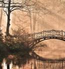 Fototapeta AS Creation Designwalls Park Bridge 2 DD118624