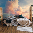 Wall mural Consalnet Beautiful Sunrise 14570