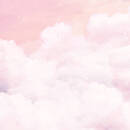 Wall mural Consalnet Fairytale clouds 14572