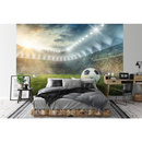 Wall mural Consalnet Football stadium II 14576