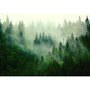 Wall mural Consalnet Natural landscape Forest in the fog VII 14210