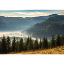 Wall mural Consalnet Natural landscape Forest in the mountains 14537