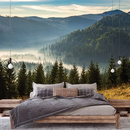 Wall mural Consalnet Natural landscape Forest in the mountains 14537