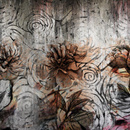 Wall mural Consalnet Roses on concrete 14517