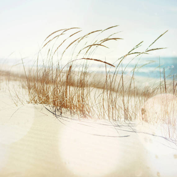 Fototapete Consalnet Natur Strand Ozean Gras 14596