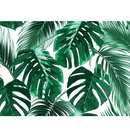 Fototapeta AS Creation Designwalls Palm Leaves 1 DD118572