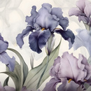 Wall mural Consalnet Violet Flowers Irises 3D 14755