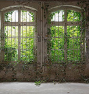 Fototapeta AS Creation Designwalls Old Window DD113166