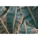 Fototapeta AS Creation Designwalls Banana Leaves 2 DD118562